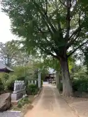 養源寺(茨城県)