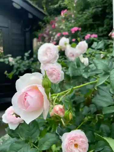 曽我浅間神社(静岡県)