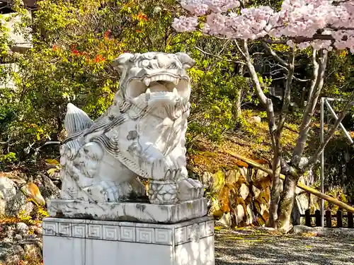 近江神宮の狛犬