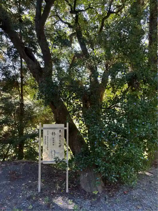高木神社(福島県)