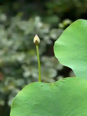 伊勢の国 四天王寺(三重県)
