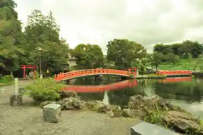 富士山本宮浅間大社(静岡県)