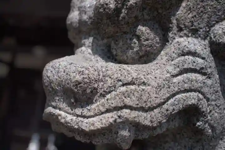 二宮神社の狛犬