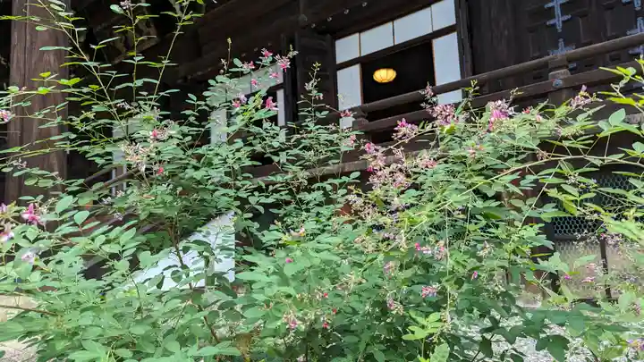 真正極楽寺(真如堂)(京都府)