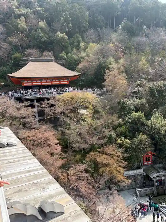 清水寺の{uncategorized: "未分類", other: "その他", undefined: "問題あり", building: "その他建物", grave: "お墓", sacred_gate: "鳥居", guardian: "狛犬", statue: "像", buddha: "仏像", history: "歴史", nature: "自然", garden: "庭園", animal: "動物", pagoda: "塔", temizu: "手水舎", mountain_gate: "山門・神門", sanctuary: "本殿・本堂", subordinate: "末社・摂社", art: "芸術", scenery: "景色", jizo: "地蔵", ema: "絵馬", goshuin: "御朱印", omikuji: "おみくじ", items: "授与品その他", amulet: "お守り", goshuincho: "御朱印帳", eats: "食事", festival: "お祭り", votive_dance: "神楽", shichigosan: "七五三参", wedding: "結婚式", experience: "体験その他", initially: "初詣", around: "周辺", anti_infection: "感染症対策"}