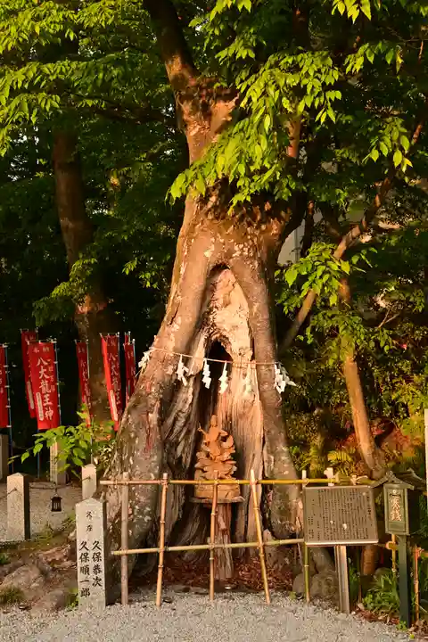 秩父今宮神社(埼玉県)