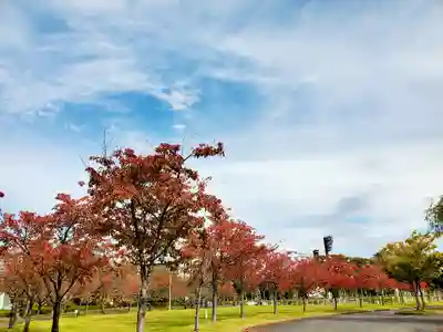 開成山大神宮の周辺