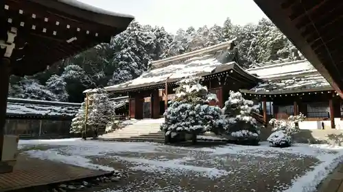 近江神宮の景色