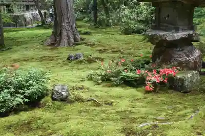 三千院門跡(京都府)