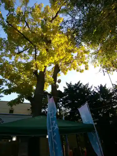 札幌諏訪神社の自然