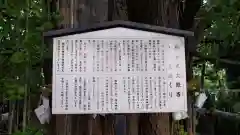 稲毛神社の歴史