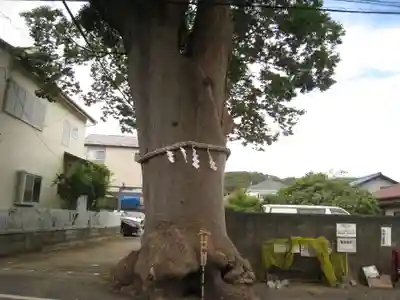 相模国総社六所神社(神奈川県)