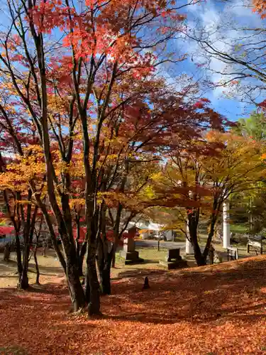 土津神社｜こどもと出世の神さまの自然