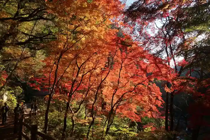 八雲神社(山梨県)