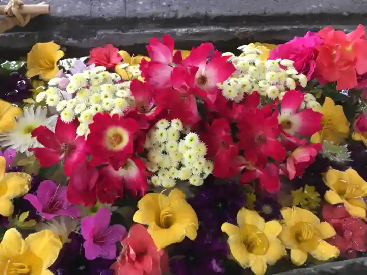 北広島市総鎮守 廣島神社の手水舎