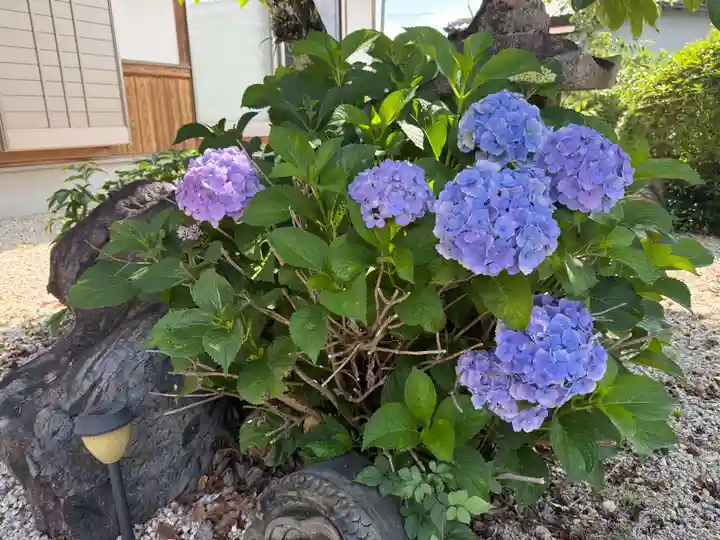 美奈宜神社(福岡県)