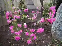 小野照崎神社の自然