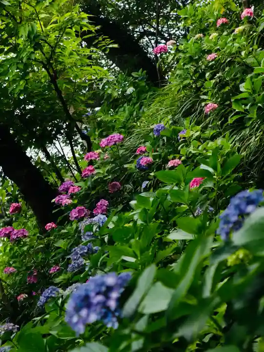 長谷寺(神奈川県)
