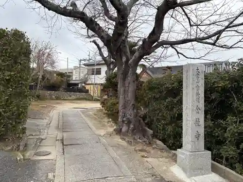 金龍寺(兵庫県)