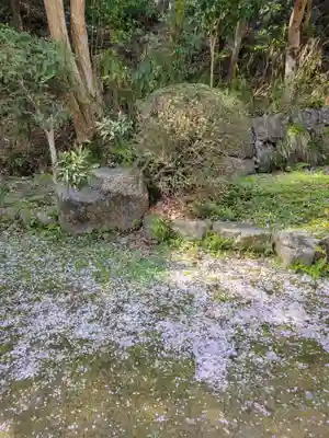 勝持寺（花の寺）(京都府)