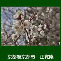 正覚庵(京都府)