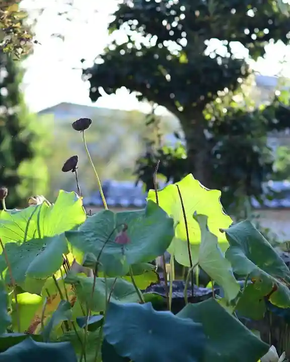 浄土寺(兵庫県)