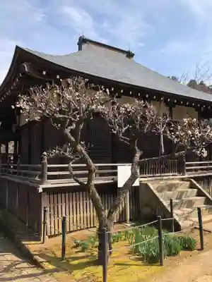 本土寺のその他建物