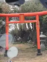 玉澤稲荷神社の鳥居