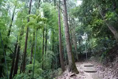 帳附神社の景色