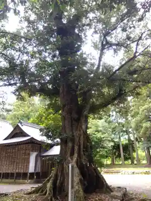 静志神社(福井県)
