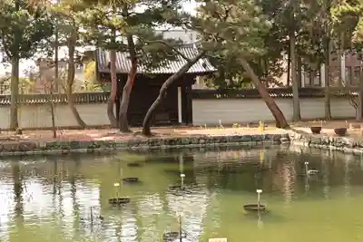 相国寺（相国承天禅寺）(京都府)