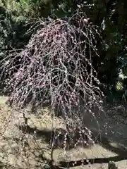 道明寺天満宮(大阪府)