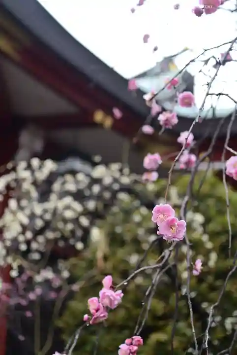 居木神社(東京都)