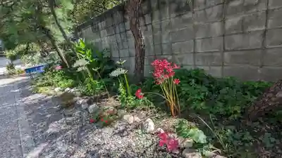 乾窓院(京都府)