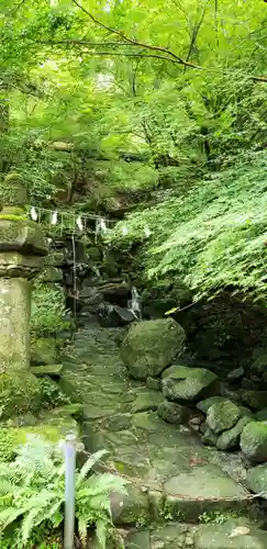 英彦山豊前坊高住神社の自然