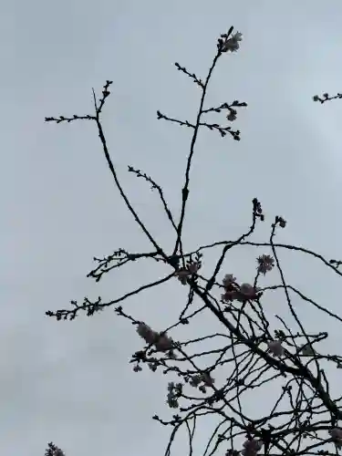 金毘羅宮慈眼寺の{uncategorized: "未分類", other: "その他", undefined: "問題あり", building: "その他建物", grave: "お墓", sacred_gate: "鳥居", guardian: "狛犬", statue: "像", buddha: "仏像", history: "歴史", nature: "自然", garden: "庭園", animal: "動物", pagoda: "塔", temizu: "手水舎", mountain_gate: "山門・神門", sanctuary: "本殿・本堂", subordinate: "末社・摂社", art: "芸術", scenery: "景色", jizo: "地蔵", ema: "絵馬", goshuin: "御朱印", omikuji: "おみくじ", items: "授与品その他", amulet: "お守り", goshuincho: "御朱印帳", eats: "食事", festival: "お祭り", votive_dance: "神楽", shichigosan: "七五三参", wedding: "結婚式", experience: "体験その他", initially: "初詣", around: "周辺", anti_infection: "感染症対策"}