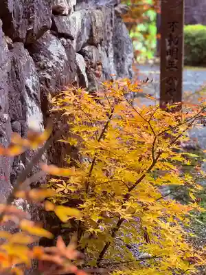 明通寺(福井県)