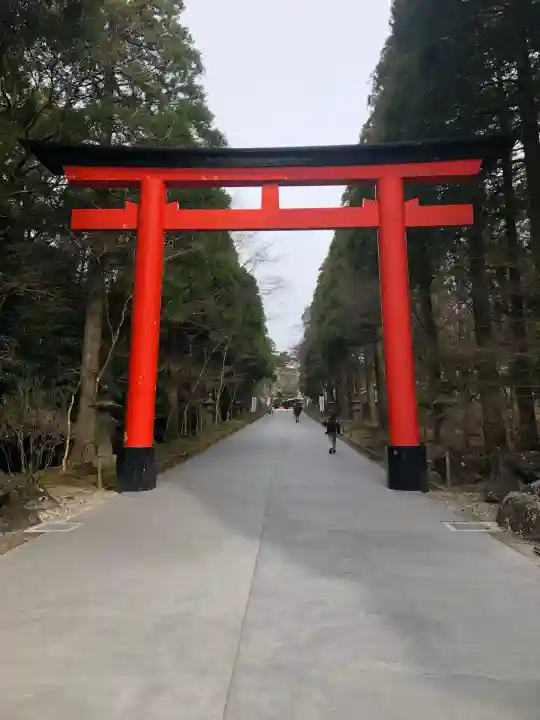霧島神宮(鹿児島県)