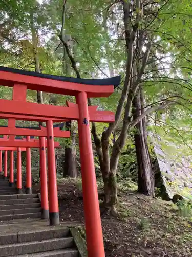 有子山稲荷神社の鳥居