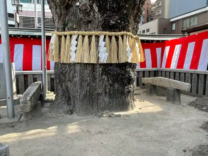 櫛田神社の自然