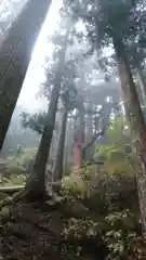 氷室神社の自然