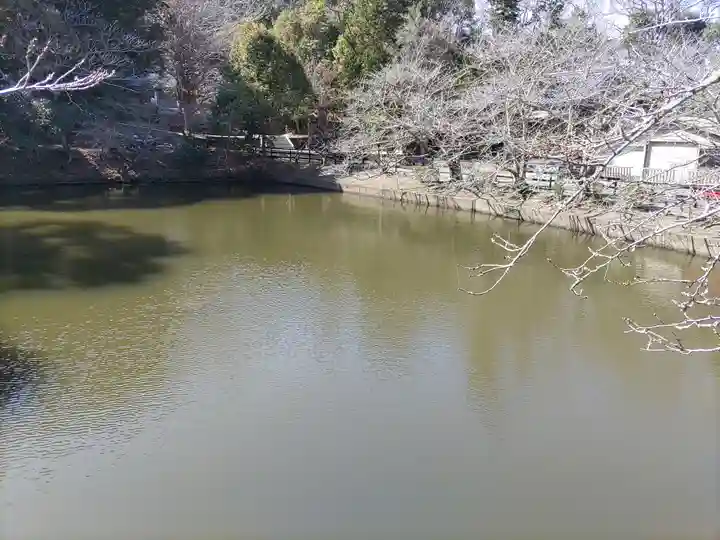 安房神社(千葉県)