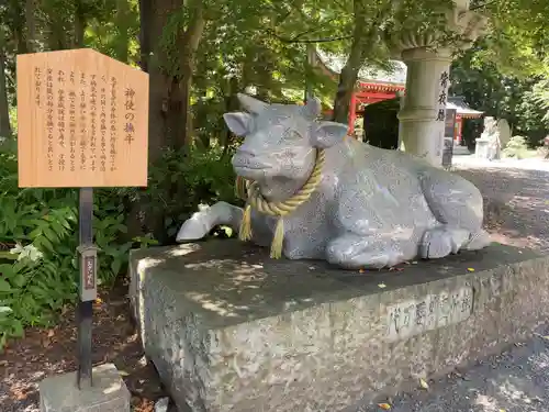 冨士御室浅間神社の狛犬