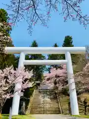 土津神社｜こどもと出世の神さまの鳥居