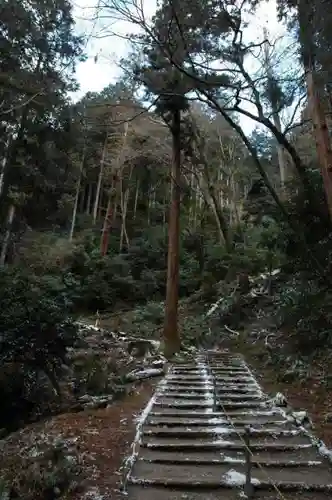 醍醐寺（上醍醐）の自然