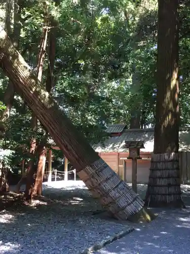 伊雜宮（皇大神宮別宮）の自然