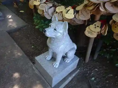 座間神社の狛犬