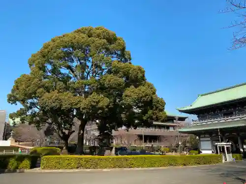 総持寺のその他建物