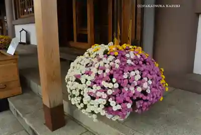 伊勢原大神宮(神奈川県)