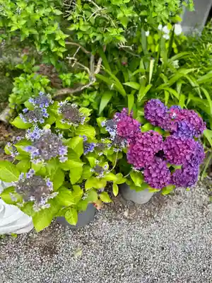 源九郎稲荷神社(奈良県)